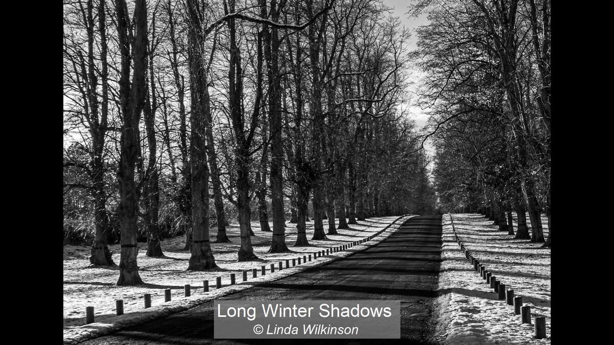 Long Winter Shadows